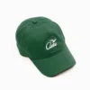 Bird Logo Cap Green